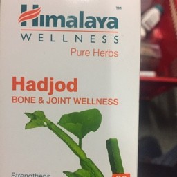 Hadjod bone & joint wellness 60 tabs